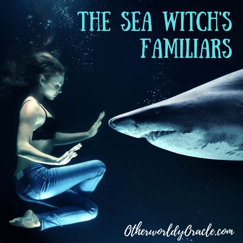 Between Land and Sea: The Dual Nature of the Sea Witch's Magic